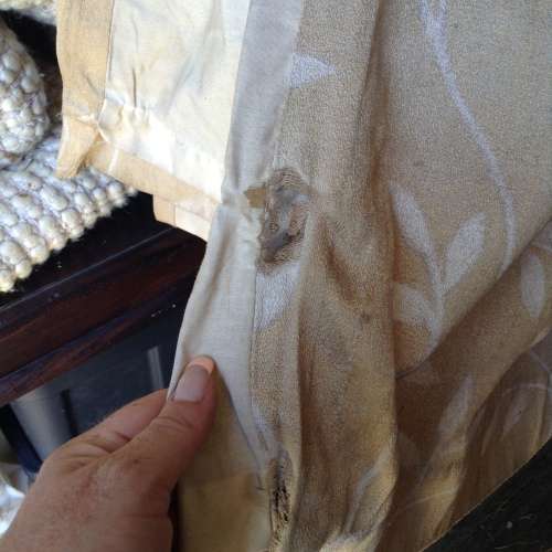 Gold and cream/beige tab vine design curtains