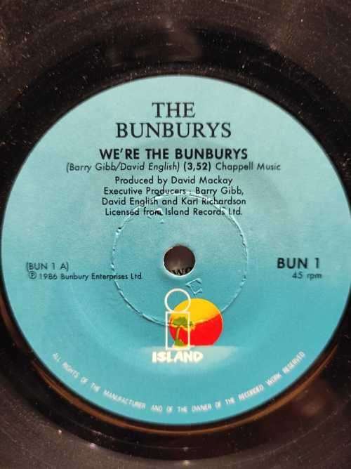 THE BUNBURY`S - WE`RE THE BUNBURYS (7 SINGLE 45 RPM) SA PRESS 45 PS 1986