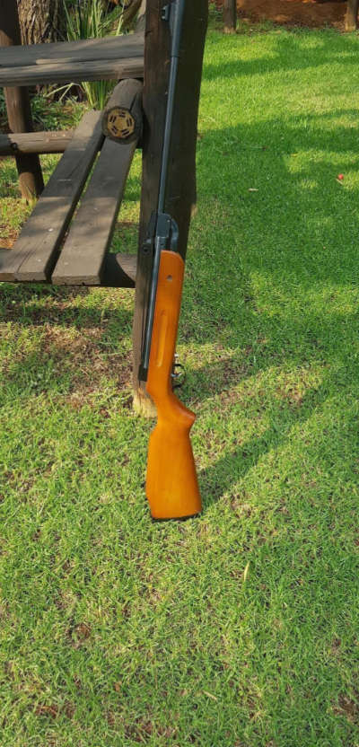 Excellent condition pellet gun with gun bag