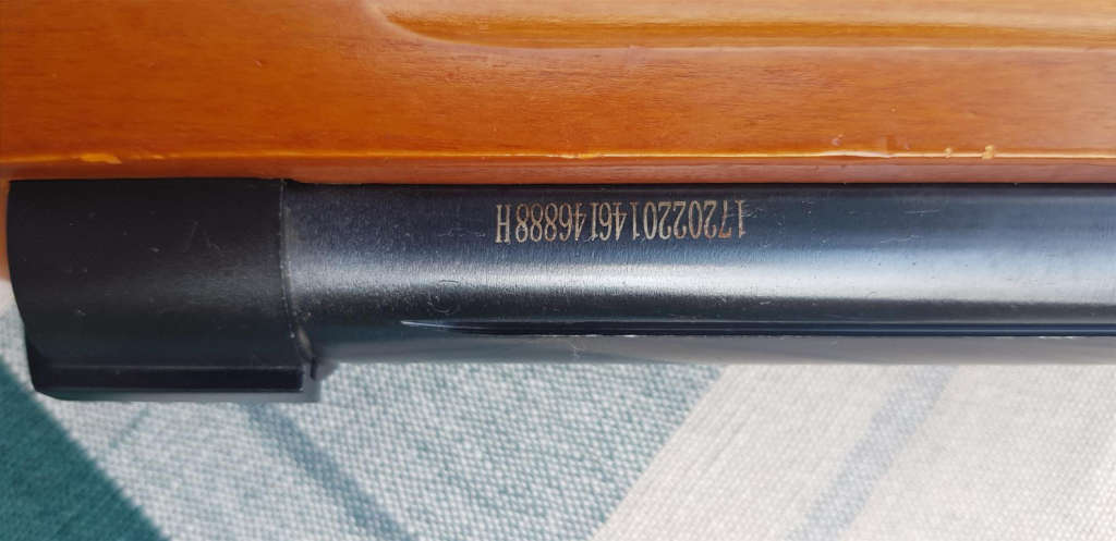 Excellent condition pellet gun with gun bag