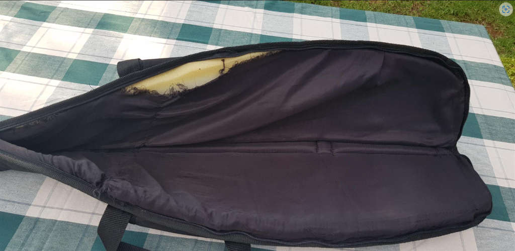 Excellent condition pellet gun with gun bag