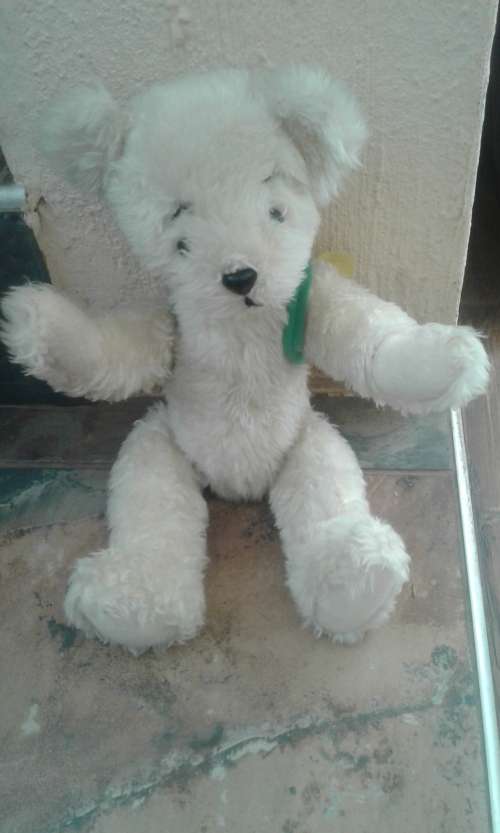 Vintage teddy bear with a sunflower at the back