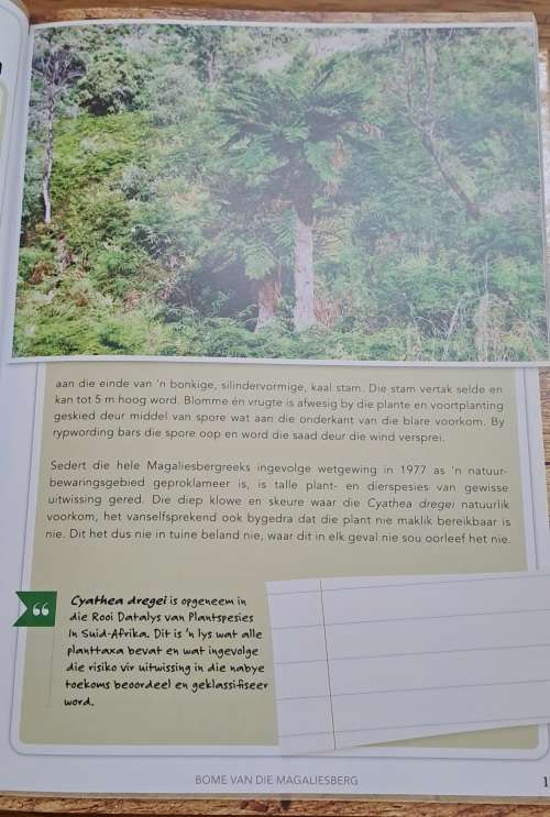 Vratjievrug-bliksem-bos en ander Magaliesbergbome