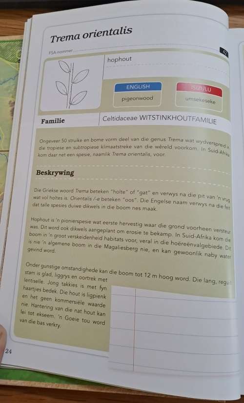 Vratjievrug-bliksem-bos en ander Magaliesbergbome