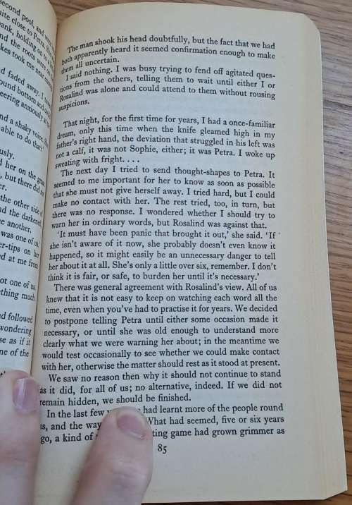 The Day of the Triffids / The Chrysalids /  John Wyndham books x2