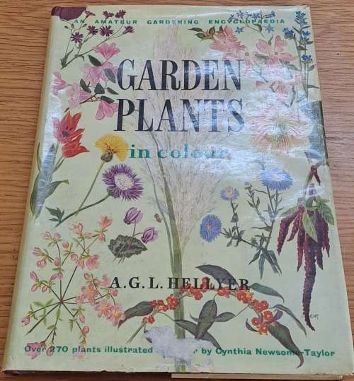 Garden Plants in Colour