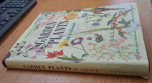 Garden Plants in Colour