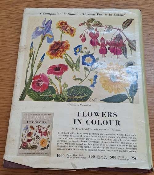 Garden Plants in Colour