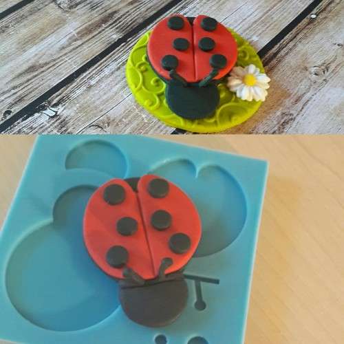 Silicone mould ladybug assemble it