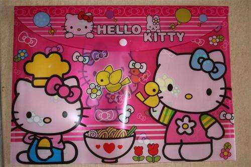Hello kitty filing sleeve