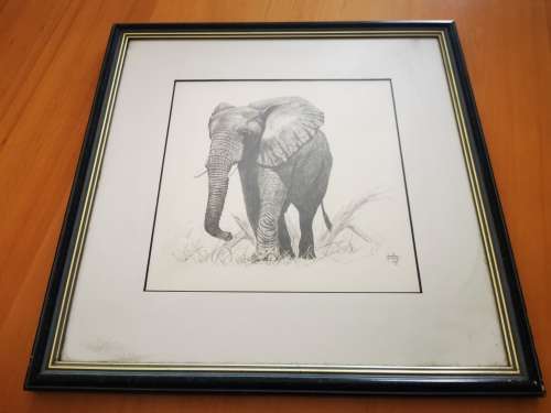 ORIGINAL Elephant Pencil sketch - JONATHAN TRUSS!