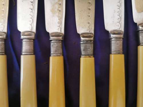 Silver plated fish cutlery