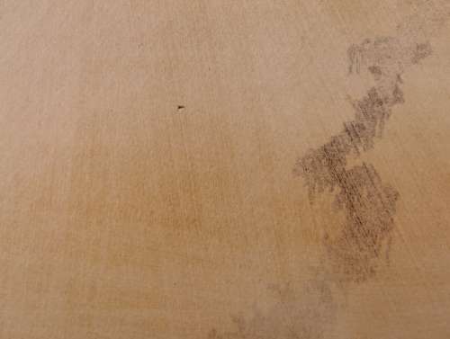 Gordon Vorster Wildebeest. * ORIGINAL *