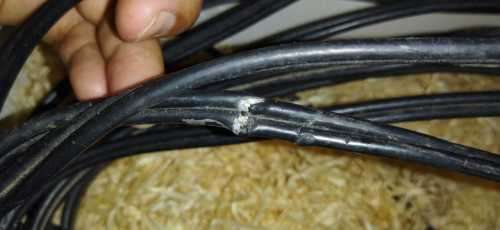 POYNTING Dual Polarised High Gain LTE Antenna - w/10m cable