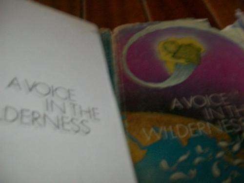 HELEN QUATERMAINE - A VOICE IN THE WILDERNESS - A METAPHYSICAL TREATISE 1975 ED WITH DUSTCOVER