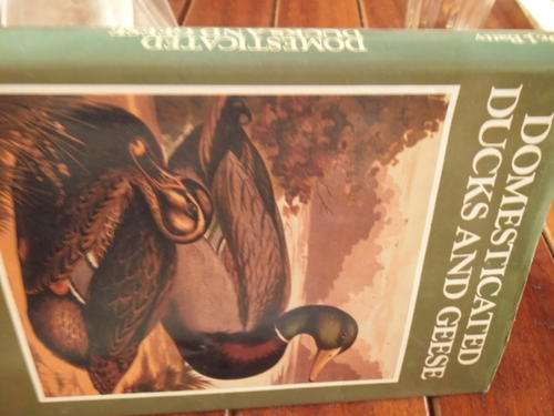 DR. J. BATTY - DOMESTICATED DUCKS AND GEESE - 1979 PICTURE BOOK ART  PLATES by LUDLOW & DUSTCOVERD