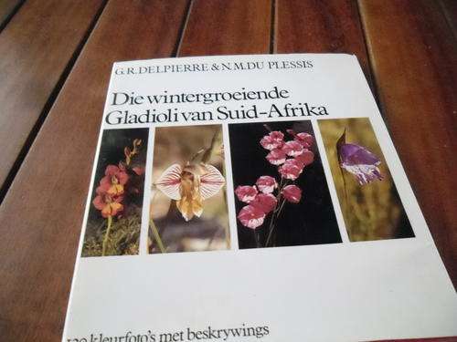 GR DELPIERRE & NM DU PLESSIS - DIE WINTERGROEIENDE GLADIOLI SUID-AFRIKA illus hardeb TAFELBERG 1974