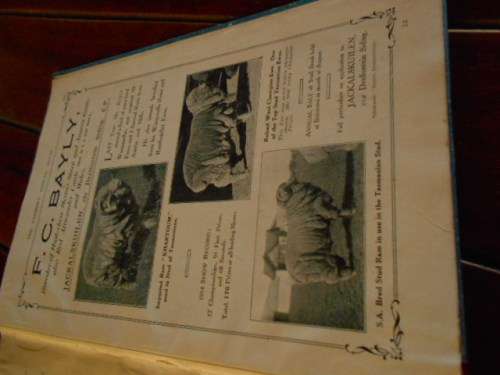 THE FARMERS ANNUAL  & SA DOCTOR VOL III 1915 / 1916 ILLUS ADDS ETC BLOEMFONTEIN FARMERS WEEKLY