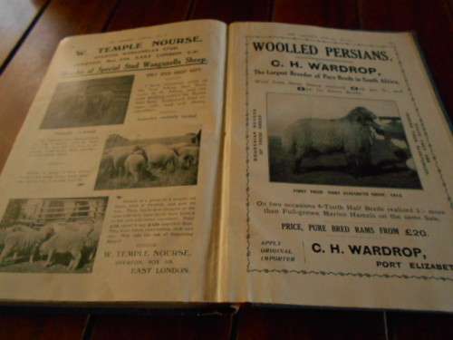 THE FARMERS ANNUAL  & SA DOCTOR VOL III 1915 / 1916 ILLUS ADDS ETC BLOEMFONTEIN FARMERS WEEKLY