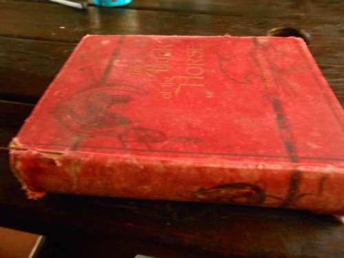 S SYDNEY THE BOOK OF THE HORSE BY S SIDNEY NEW EDITION. CASSELL AND COMPANY 1893 LARGE RARE HARDBACK