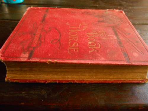 S SYDNEY THE BOOK OF THE HORSE BY S SIDNEY NEW EDITION. CASSELL AND COMPANY 1893 LARGE RARE HARDBACK