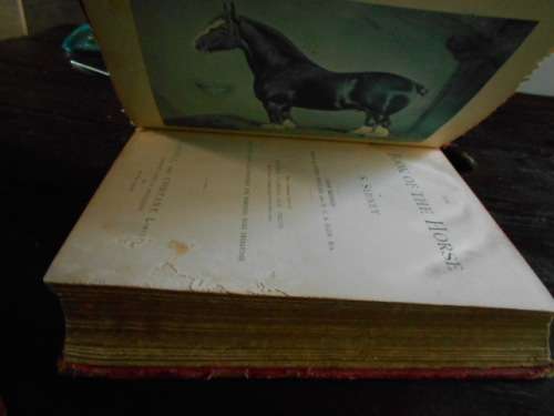 S SYDNEY THE BOOK OF THE HORSE BY S SIDNEY NEW EDITION. CASSELL AND COMPANY 1893 LARGE RARE HARDBACK