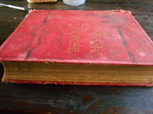S SYDNEY THE BOOK OF THE HORSE BY S SIDNEY NEW EDITION. CASSELL AND COMPANY 1893 LARGE RARE HARDBACK