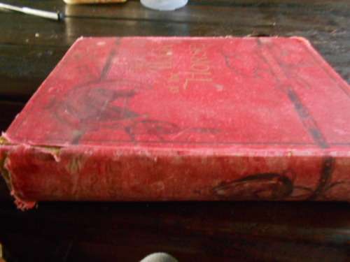 S SYDNEY THE BOOK OF THE HORSE BY S SIDNEY NEW EDITION. CASSELL AND COMPANY 1893 LARGE RARE HARDBACK