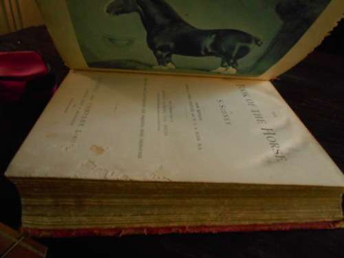 S SYDNEY THE BOOK OF THE HORSE BY S SIDNEY NEW EDITION. CASSELL AND COMPANY 1893 LARGE RARE HARDBACK