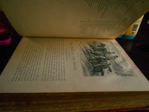 S SYDNEY THE BOOK OF THE HORSE BY S SIDNEY NEW EDITION. CASSELL AND COMPANY 1893 LARGE RARE HARDBACK