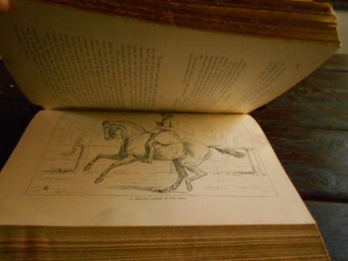 S SYDNEY THE BOOK OF THE HORSE BY S SIDNEY NEW EDITION. CASSELL AND COMPANY 1893 LARGE RARE HARDBACK