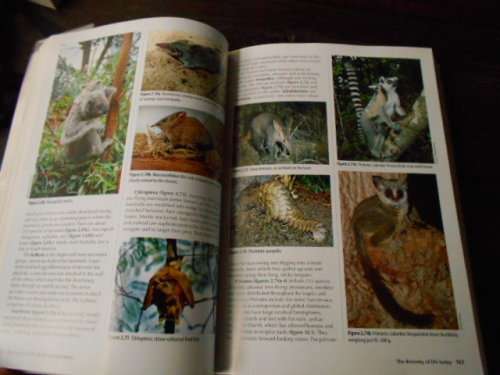 JO VAN AS - THE STORY OF LIFE AND THE ENVIRONMENT AN AFRICAN PERSPECTIVE -  STRUIK SOFTBACK 2012