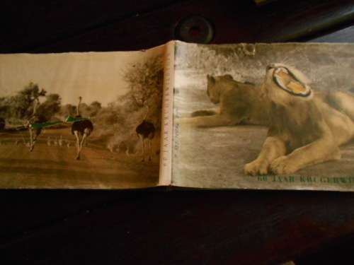 R J LABUSCHAGNE - 60 JAAR KRUGERWILDTUIN  PRETORIA 1958 HARDEBAND