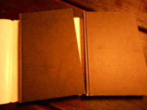 DALENE MATTHEE -  KRINGE IN 'N BOS eerste ed  1984  & MOERBEIBOS 1987  TAFELBERG  DRUK HARDEBANDE