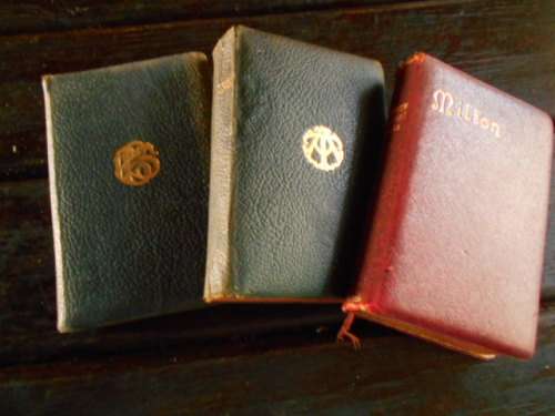 3  BOOKS - POETICAL WORKS OF ALFRED LORD TENNYSON AND PERCY BYSSHE SHELLEY AND JOHN MILTON