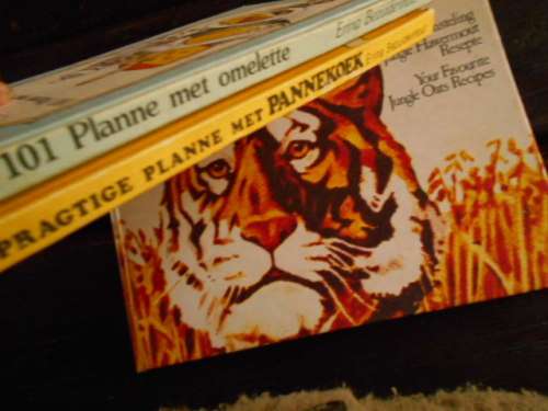 Gunsteling Jungle Hawermout resepte en 2 E Bezuidenhout 101 planne omelette & 200 planne pannekoek
