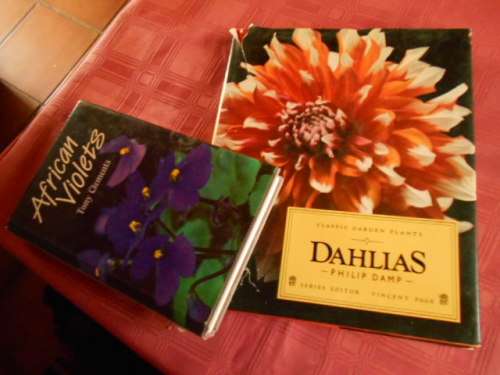 PHILIP  DAMP -  Dahlias