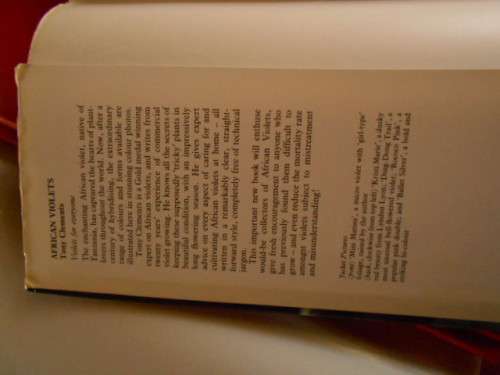 PHILIP  DAMP -  Dahlias