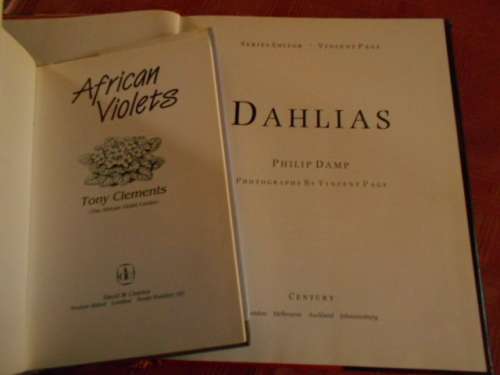 PHILIP  DAMP -  Dahlias