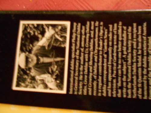 PHILIP  DAMP -  Dahlias