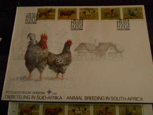 COMMEMORATIVE POTCHEFSTROOM KOEKOEK ENVELOPE   5.13    PUTTERIE RACING PIGEON  STAMP,