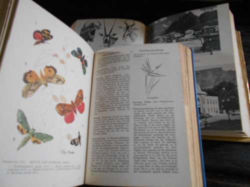 ERIC ROSENTHAL -  2 ENCYCLOPAEDIAS 1 AFRIKAANS and 1  1965 ENGLISH F WARNE