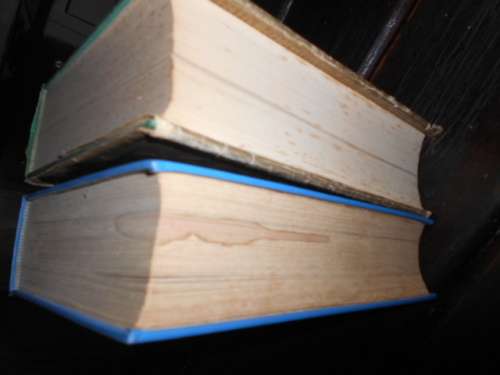 ERIC ROSENTHAL -  2 ENCYCLOPAEDIAS 1 AFRIKAANS and 1  1965 ENGLISH F WARNE