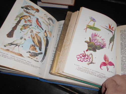 ERIC ROSENTHAL -  2 ENCYCLOPAEDIAS 1 AFRIKAANS and 1  1965 ENGLISH F WARNE