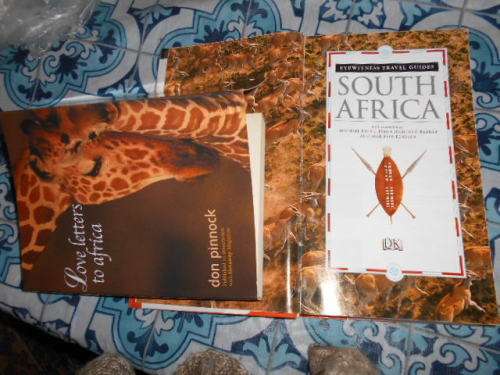 2 ILLUS BOOKS: DK EYEWITNESS TRAVEL GUIDES SA and LOVE LETTERS TO AFRICA