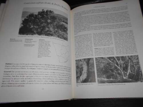 Carr, J Denzil  - Combretaceae Southern Africa - botanical paintings Elize Buitendag  Rare book 1988