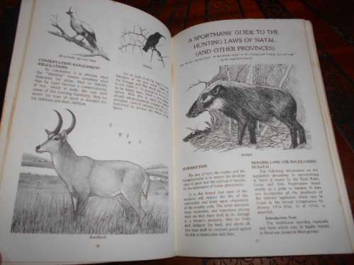 PHILIP HUEBSCH - A HUNTER`S HANDBOOK -  1981 NATAL HUNTERS