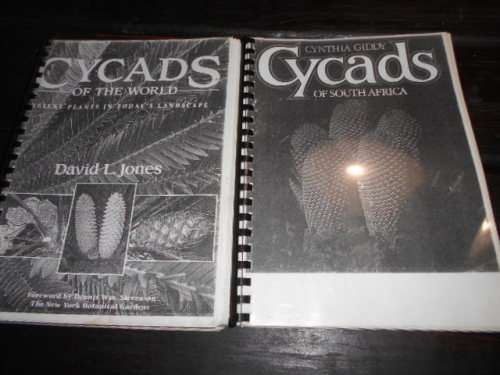 2 CYCAD BOOKS -  CYCADS  OF WORLD and  CYCADS OF SOUTH  AFRICA by Cynthia Giddy