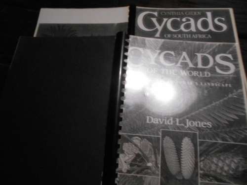 2 CYCAD BOOKS -  CYCADS  OF WORLD and  CYCADS OF SOUTH  AFRICA by Cynthia Giddy