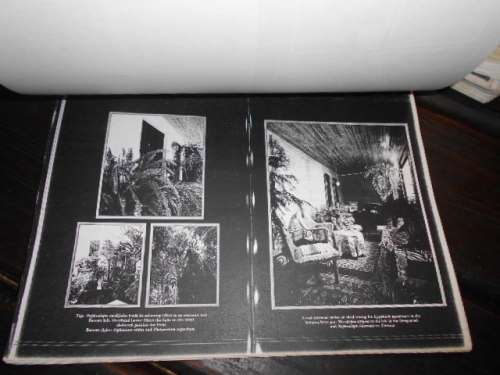 2 CYCAD BOOKS -  CYCADS  OF WORLD and  CYCADS OF SOUTH  AFRICA by Cynthia Giddy